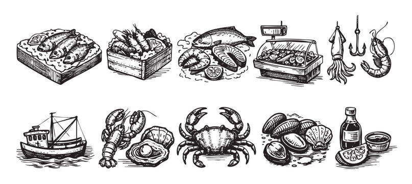 Hand drawn seafood illustrations featuring fish, shellfish and crustaceans. Use for menus, packaging, restaurant branding, and promoting healthy eating.