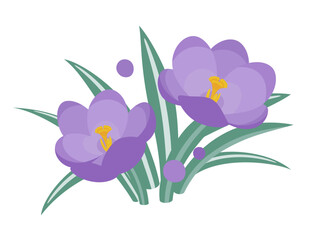 かわいいクロッカスのイラスト素材