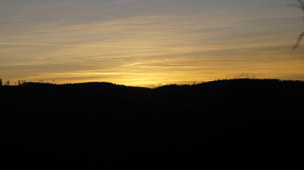 D&uuml;ster Wald im Abendrot