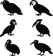 Black silhouettes of various tropical bird's silhouette icons set eps-10