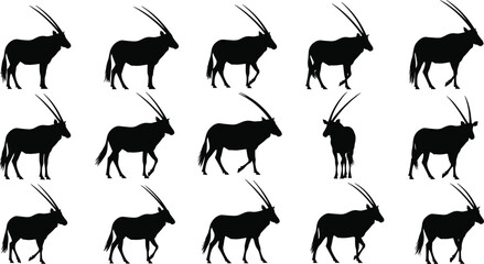 Oryx antelope silhouettes collection, African wildlife vector set, horned desert animal poses isolated, safari mammal illustration bundle pack © PK