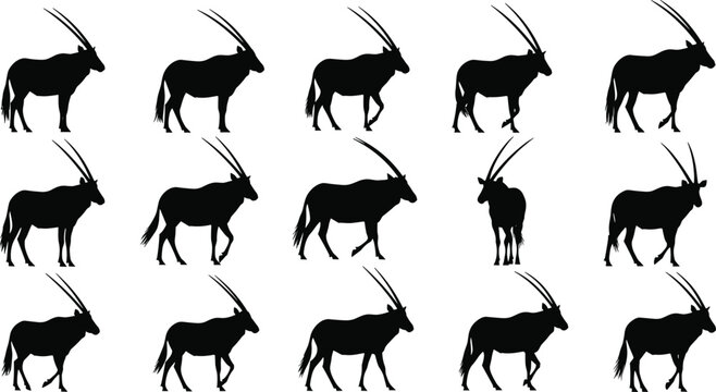 Oryx antelope silhouettes collection, African wildlife vector set, horned desert animal poses isolated, safari mammal illustration bundle pack