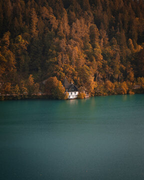 View of a tranquil lake reflecting the amber hues of an autumn forest, with a quaint white house nestled at the water's edge, Bled, Radovljica, Slovenia.