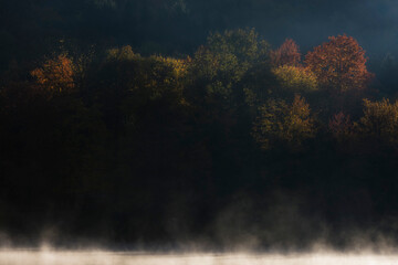 Fototapeta premium Atmospheric landscape of autumn trees illuminated by early morning light, emerging from heavy fog. High-contrast composition suitable for editorial and travel content.