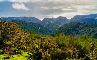 Green mountain slopes overlooking the sunny coast.