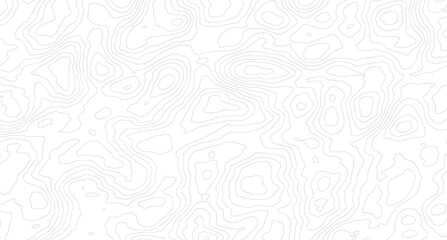 Abstract Topographic Map Lines. Monochrome Terrain Lines Art. Wavy Geographical Contour Lines © Mst