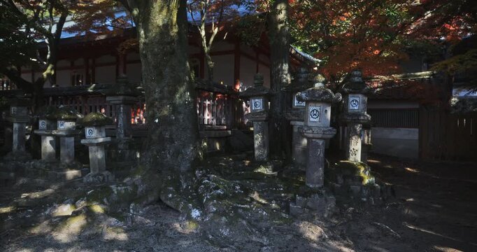 Shadows of autumn trees covering ancient stone lanterns near old Japanese structure during autumn - steady cam shot