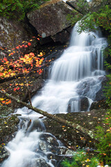 Fototapeta premium waterfall in autumn forest