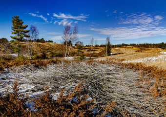 557-72  Foredune Shore