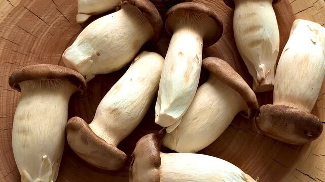 Fresh raw king oyster mushrooms (eryngii) on a natural oak slab. Close-up of organic edible fungi with brown caps and thick white stems in warm light. Ideal for gourmet and healthy cooking concepts.