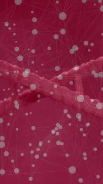 Vertical video: Initial scroll starting node web drifting upward, showing torn ridge for detail