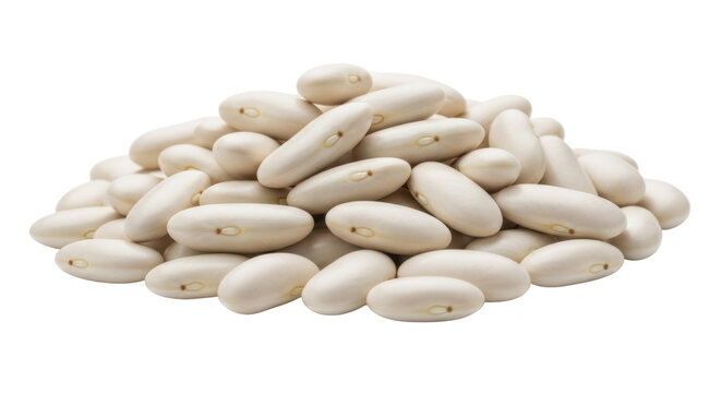 Pile of cannellini beans isolated PNG on transparent background, creamy white kidney beans for healthy eating and vegetarian recipes