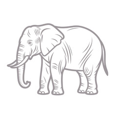 Fototapeta premium Elephant Side View Profile Outline - African Safari Wildlife Animal Illustration