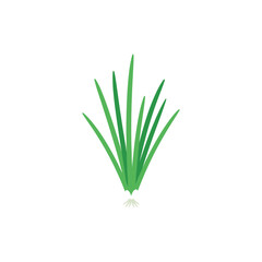 Obraz premium Flat Vector Illustration of Chive Clump with Roots