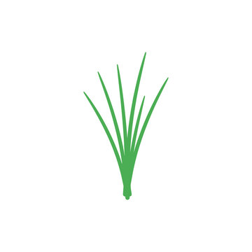 Flat Vector Illustration of Chive Tuft for Food Icon