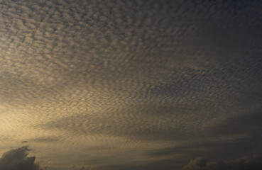 Beautiful colorful sunset with orange clouds. Sky background.