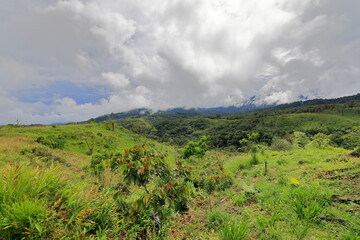 Rein forest, Parque Nacional Cayambe-Coca,  Ecuador