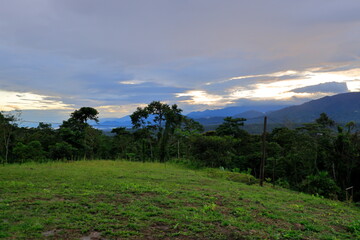 Obraz premium Rein forest, Parque Nacional Cayambe-Coca, Ecuador