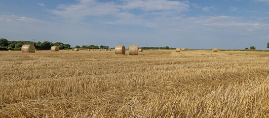 Balles de paille apr&egrave;s les moissons	