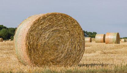 Balles de paille apr&egrave;s les moissons	