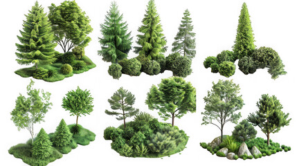 Fototapeta premium Vibrant green diverse trees and bushes arranged in beautiful garden settings, natural elements. isolated on transparent background