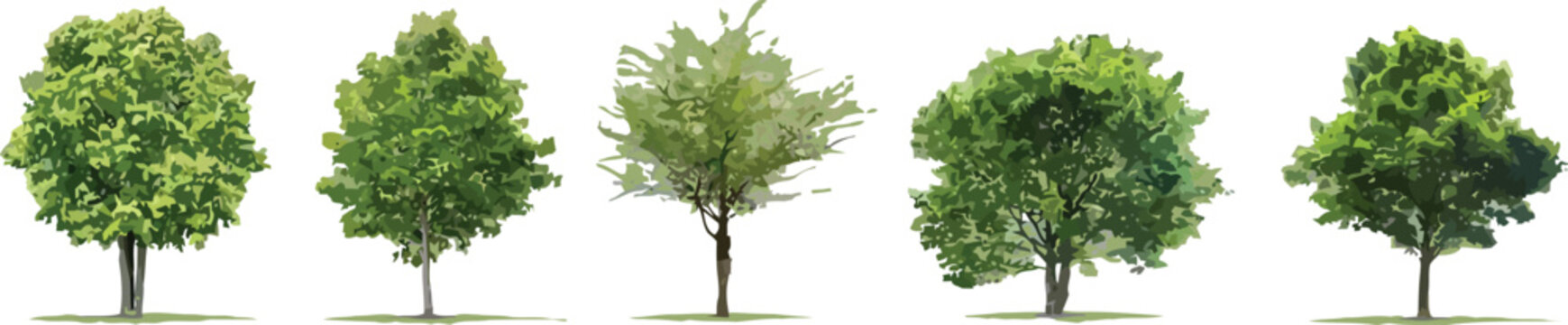 Set of five stylized green deciduous trees vector illustration for architectural elevation and landscape design elements