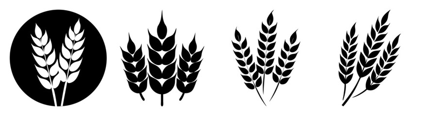 Fototapeta premium Minimalist wheat stalks illustration set black and white isolated vector nature harvest agriculture grain crop