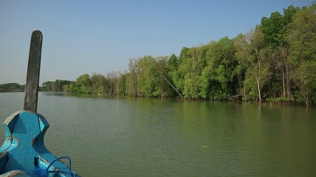 a pilgrimage to the Bedono village area, Demak, Central Java, Indonesia, which is now submerged due to land subsidence with only the remaining mangrove forests.