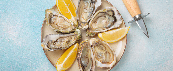 Fresh oysters with lemon wedges and oyster knife on plate top view © somegirl
