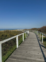 Wooden coastal boardwalk along Camino de Santiago in Portugal with curved pathway leading through dunes toward Atlantic horizon. Travel, outdoor lifestyle, slow travel, destination branding