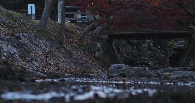 Early morning at nearly dry stream with view of autumn trees and small bridge
