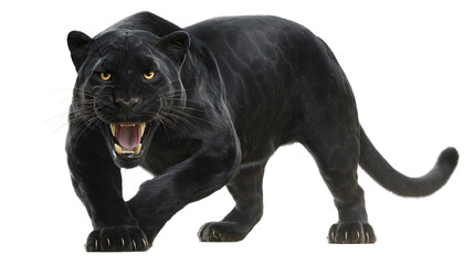 Obraz premium A black panther with its mouth open and teeth bared, isolated on transparent background, showcasing its fierce expression and powerful stance