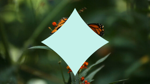 Circular Flat Transitions Pack &ndash; 10 Styles, 3 Color Themes, Multi Format