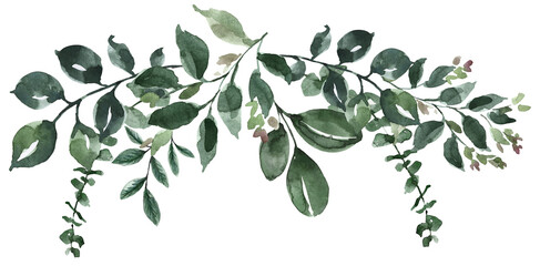 Watercolor greenery border with eucalyptus leaves, hand-painted botanical frame element isolated on transparent background © Anna Nekotangerine