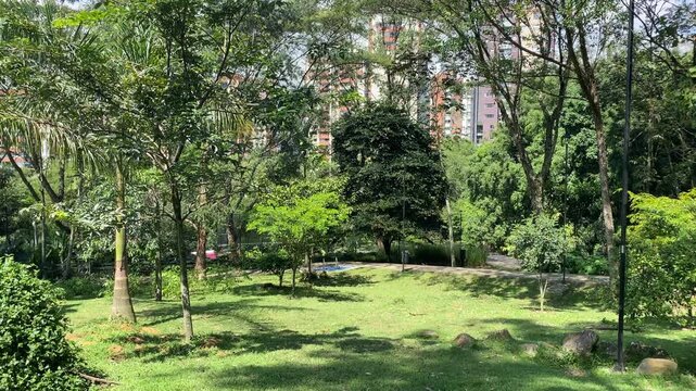 Public park called "El parque la frontera" with a moving brown doberman dog in the foreground in Medellin, Colombia.