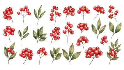 A charming watercolor collection of seasonal berry botanicals, featuring bright red berries, leafy sprigs, and soft natural textures. © liana
