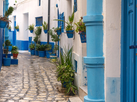 The Silent Alleys of Bizerte: A Winter Journey Through the Medina of Bizerte