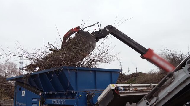 A tractor with a bucket throws branches and various wood into a crusher for shredding. A wood chipper shreds wood into one pile. Branches and wood received at the composting station are crushed on a