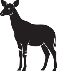 Fototapeta premium Rare African Okapi Standing Side View Animal Silhouettes on White Background