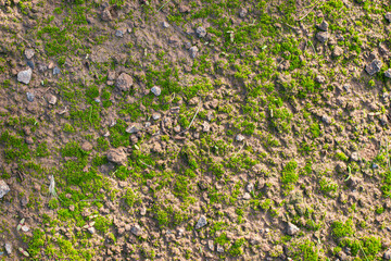 Natural stone wall texture with moss for architecture and games