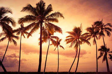 Obraz premium Tropical Palm Trees at Colorful Sunset, Paradise Sunset with Silhouetted Palm Trees 