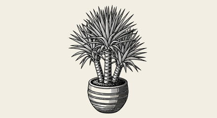 An ornate potted palm tree stands alone, showcasing its lush foliage in a detailed illustration from a front viewpoint © John
