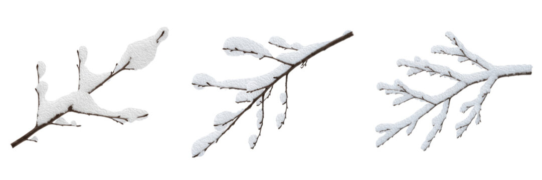Set and Collection of Snow Covered Tree Branches, Winter Frosty Twigs and Shrub Elements, Realistic Icy Nature Details isolated on white transparent PNG background