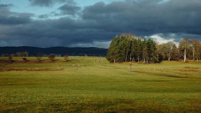 stormy autumn landscape with trees and clouds