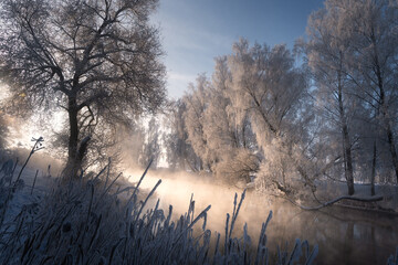 Amazing Wild Nature Winter Scene Morning Sunlight Along River Stream and Frosty Trees, Morning Sunshine and Calm Icy Landscape