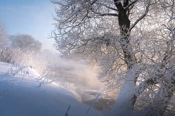 Frosty Nature: Snowy Trees with Hoarfrost on River Shore in Morning Sunlight