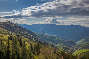 Fototapeta premium Mountains in Perucica Forest Reserve in Sutjeska National Park.