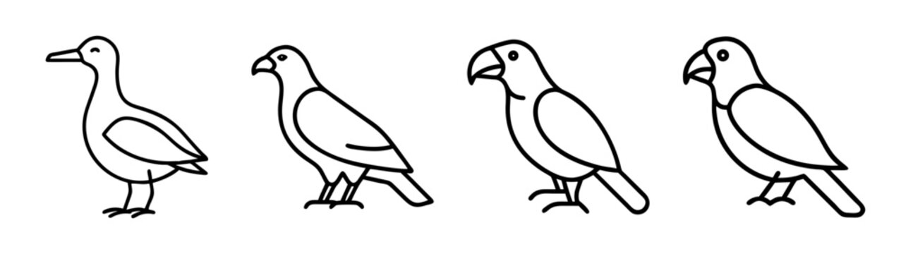 Collection of bird drawings: goose, pigeon, and parrot line art for coloring and educational purposes