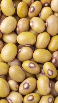 Closeup, top view of yellow beans. Food backdrop