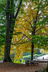 Naklejka premium Golden autumn view in famous Munich relax place - Englischer Garten. Munich, Bavaria, Germany